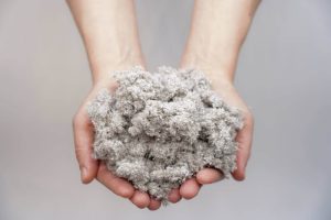 cellulose insulation in hands